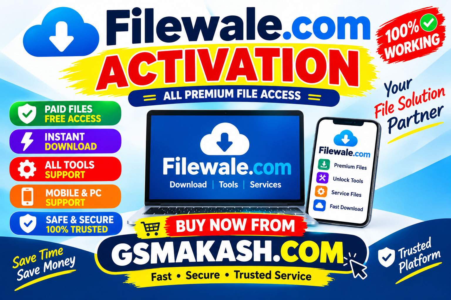 Filewale Silver Plan (Offer) 